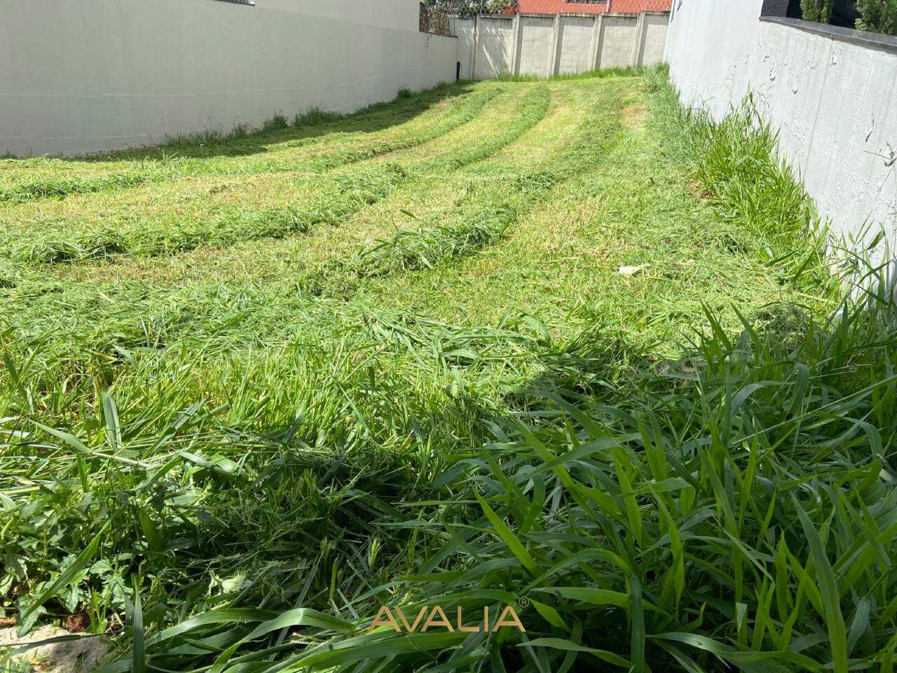 Lote à venda no Jardim Piemonte: 