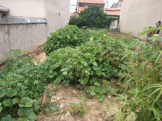 Lote à venda no Jardim Paulista I: 