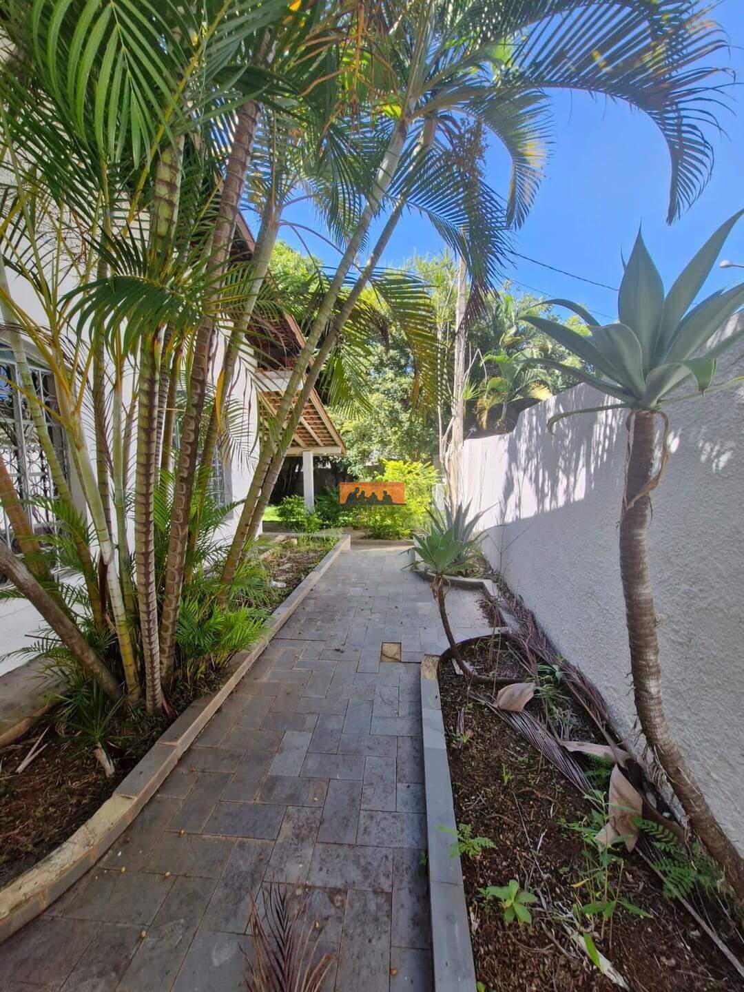Casa para aluguel no Cidade Universitária: 