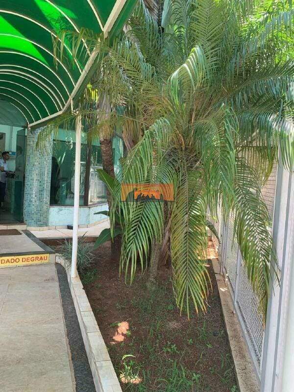 Sala para aluguel no Cidade Universitária: 