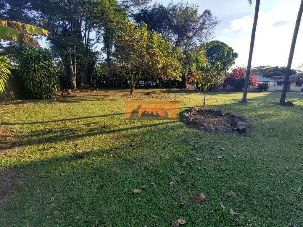Terreno à venda no Guará: 
