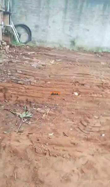 Terreno à venda no Bosque das Palmeiras: 