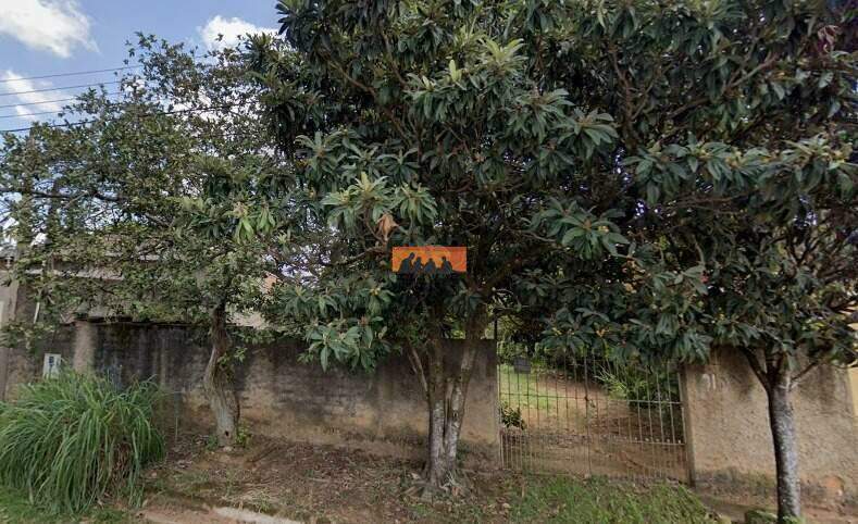Terreno à venda no Bosque das Palmeiras: 