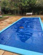 Casa para aluguel no Recanto dos Dourados: 