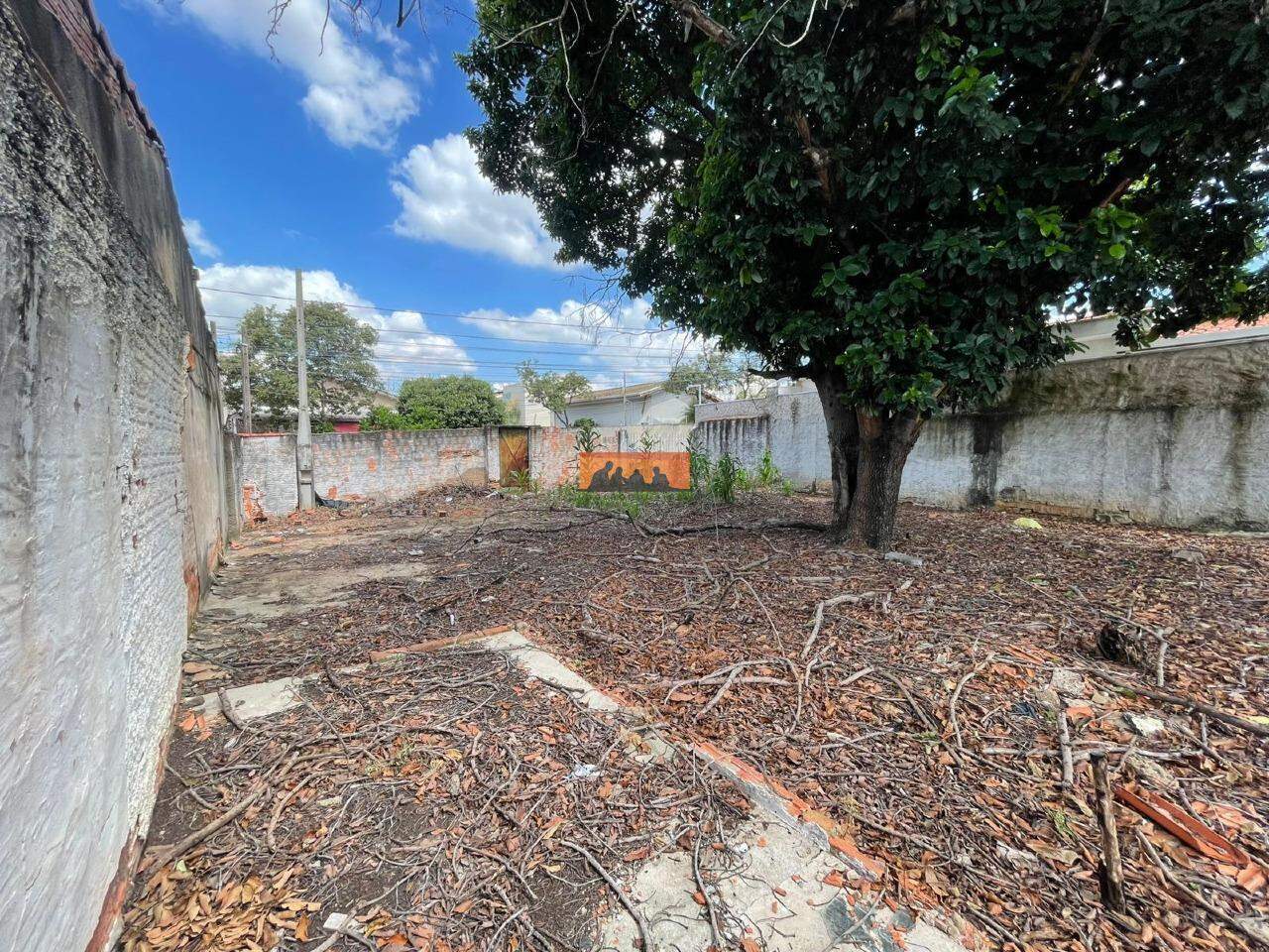 Terreno para aluguel no Jardim Bela Vista: 
