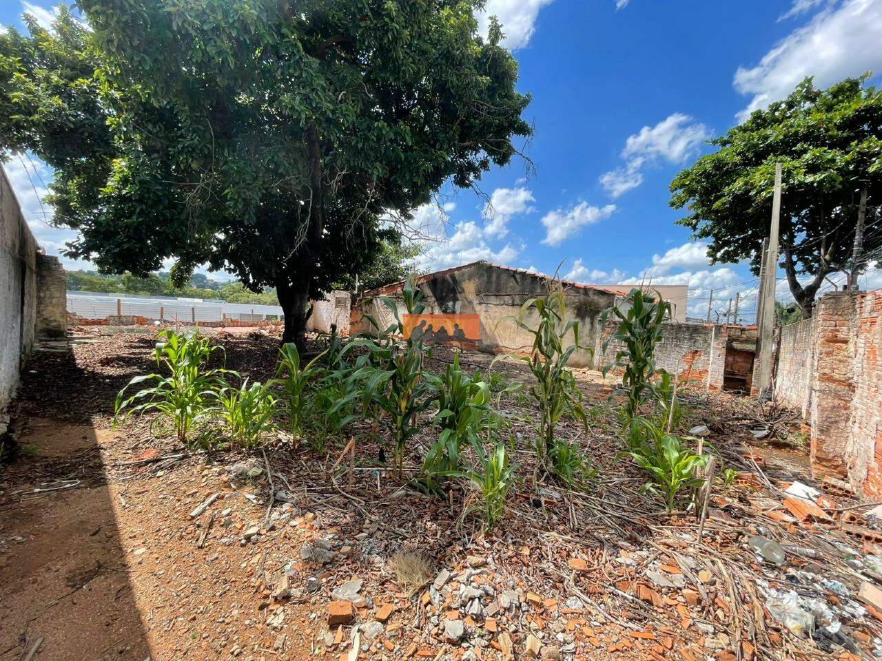Terreno para aluguel no Jardim Bela Vista: 