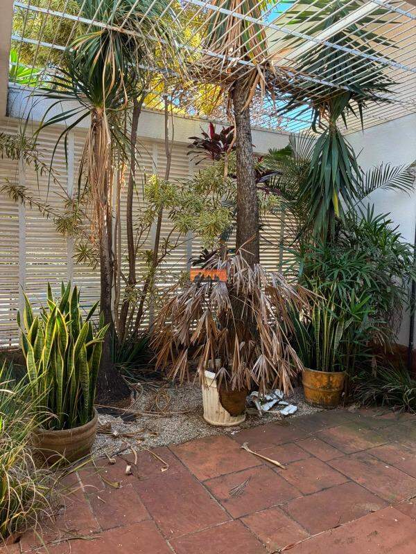 Casa para aluguel no Cambuí: 