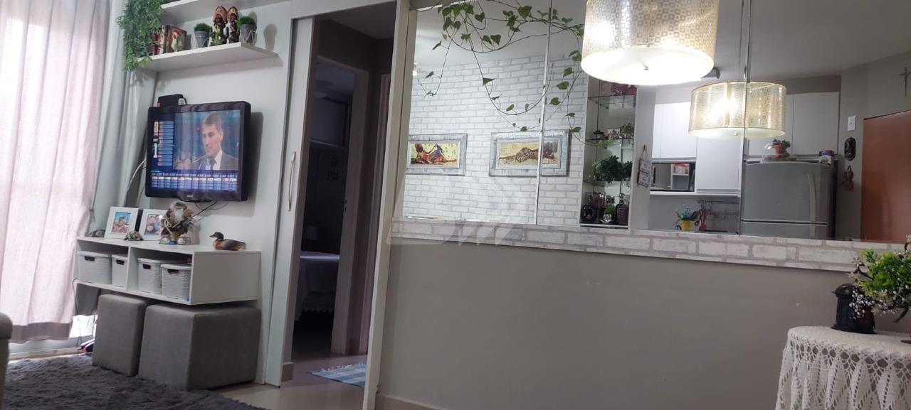 Apartamento à venda no Jardim São Francisco: 