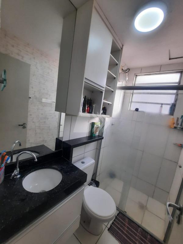 Apartamento para aluguel no Santa Terezinha: 