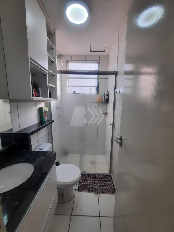 Apartamento para aluguel no Santa Terezinha: 