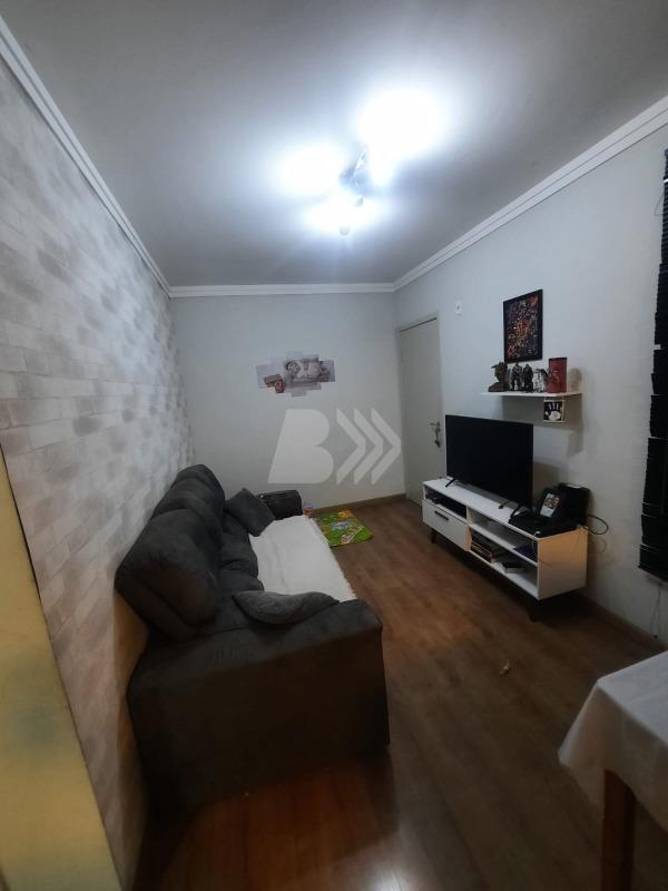 Apartamento para aluguel no Santa Terezinha: 