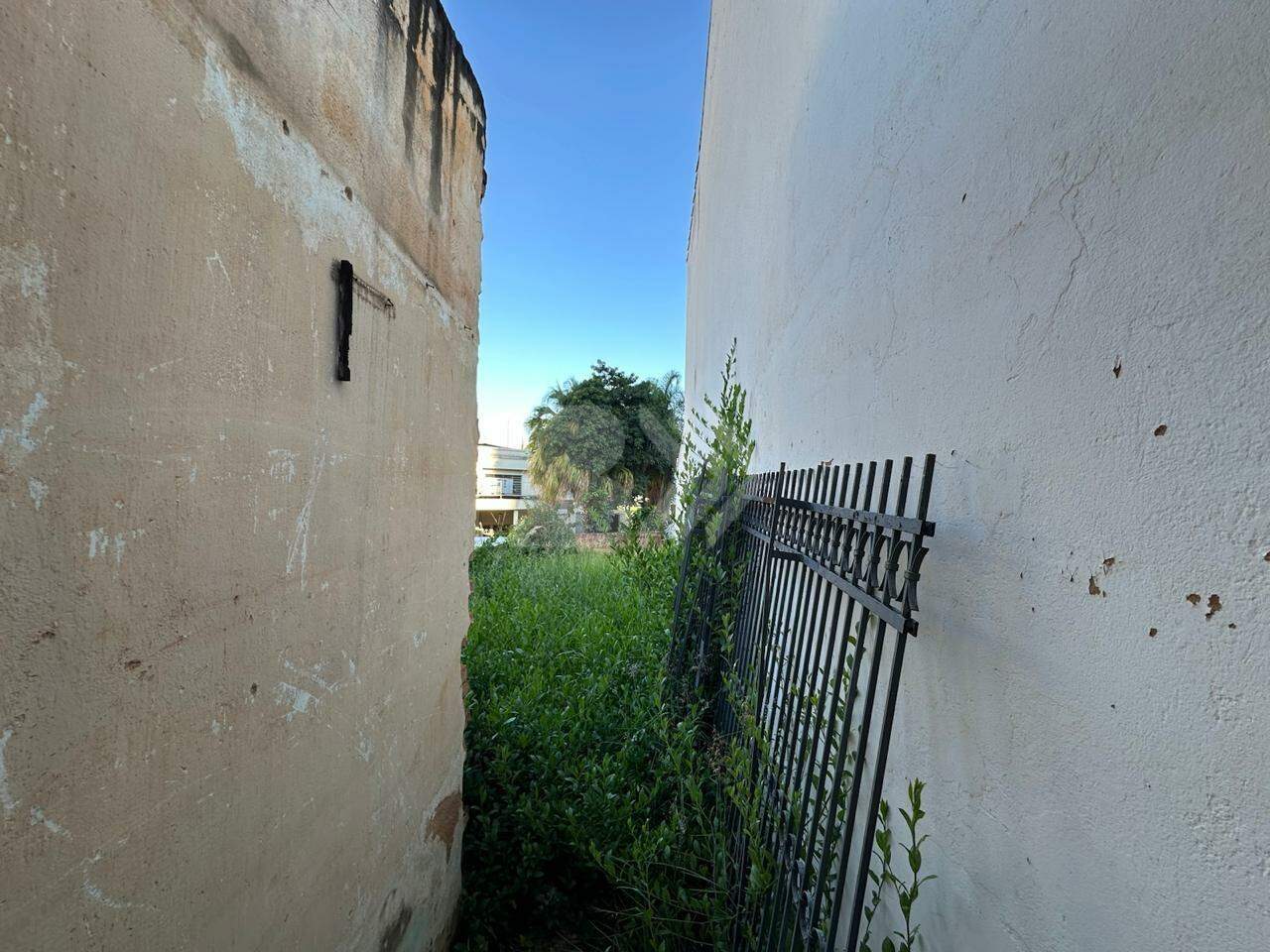 Terreno à venda no Centro: 