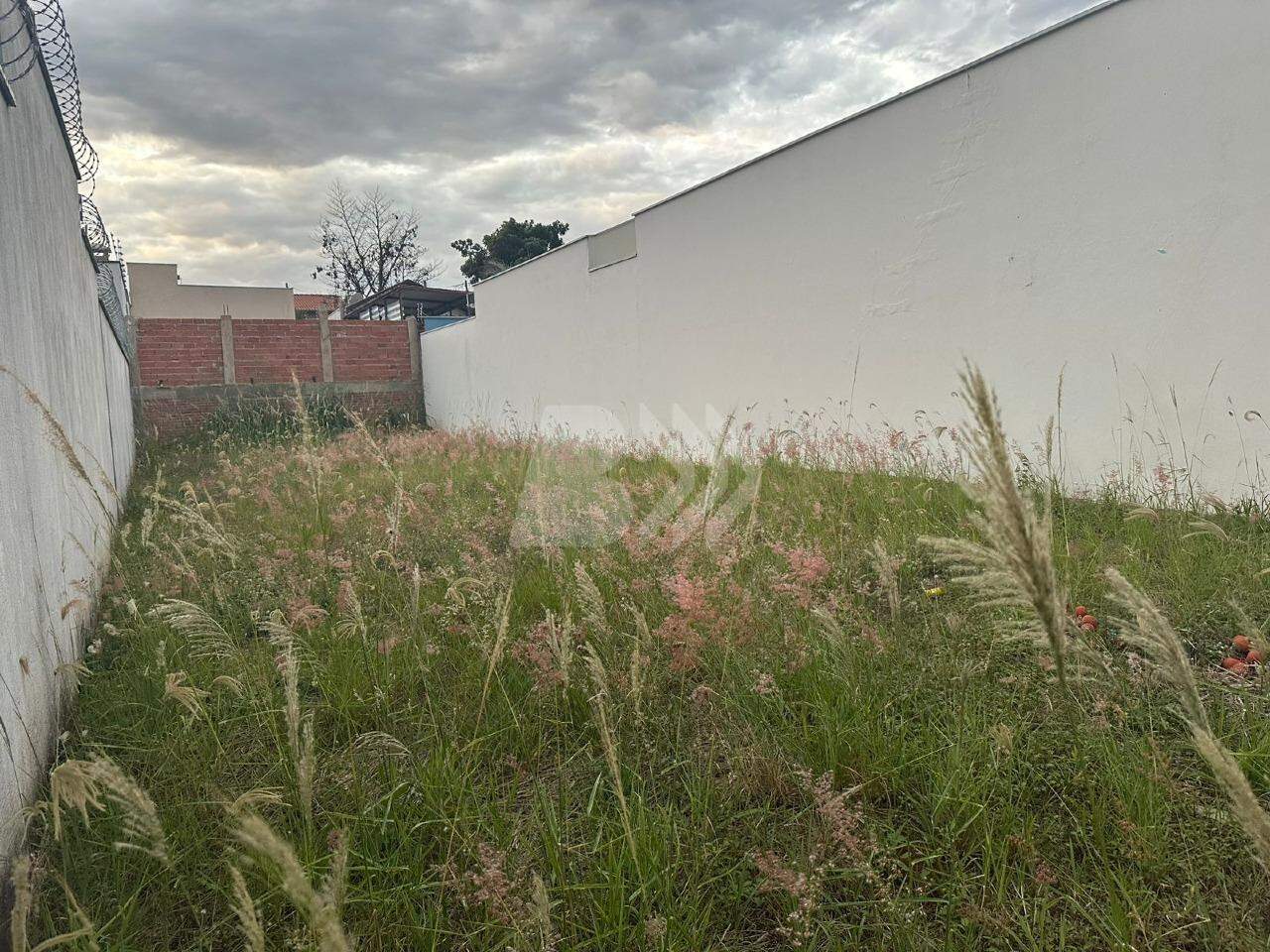 Terreno à venda no Pompéia: 
