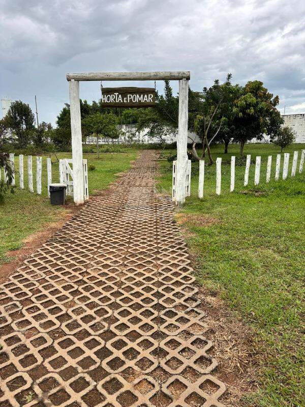 Terreno à venda no Campestre: 