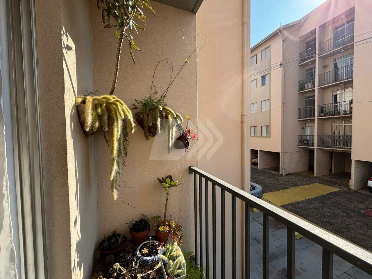 Apartamento à venda no Paulicéia: 
