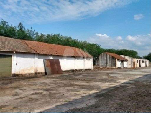 Área à venda no Santa Terezinha: 