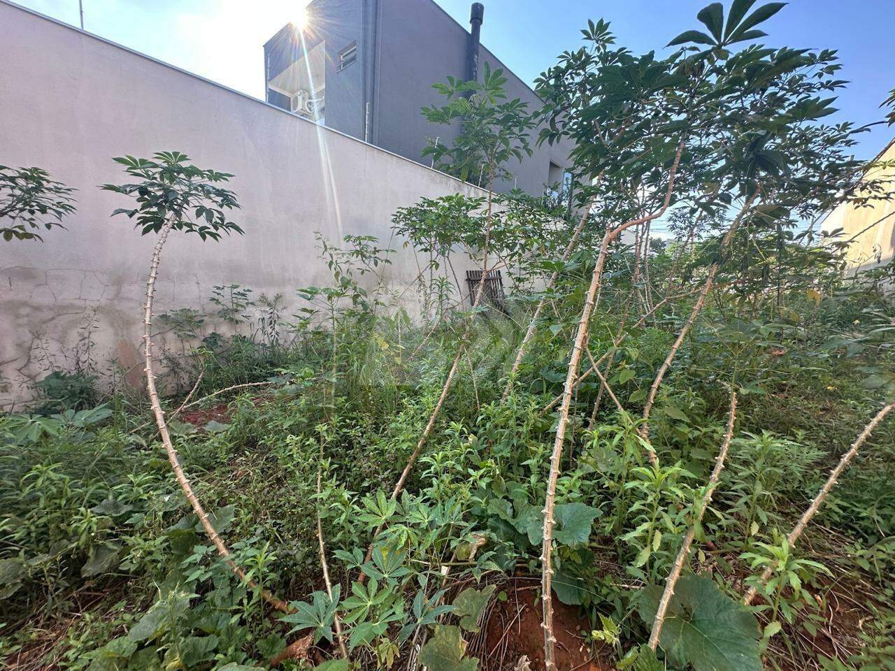 Terreno à venda no Pompéia: 