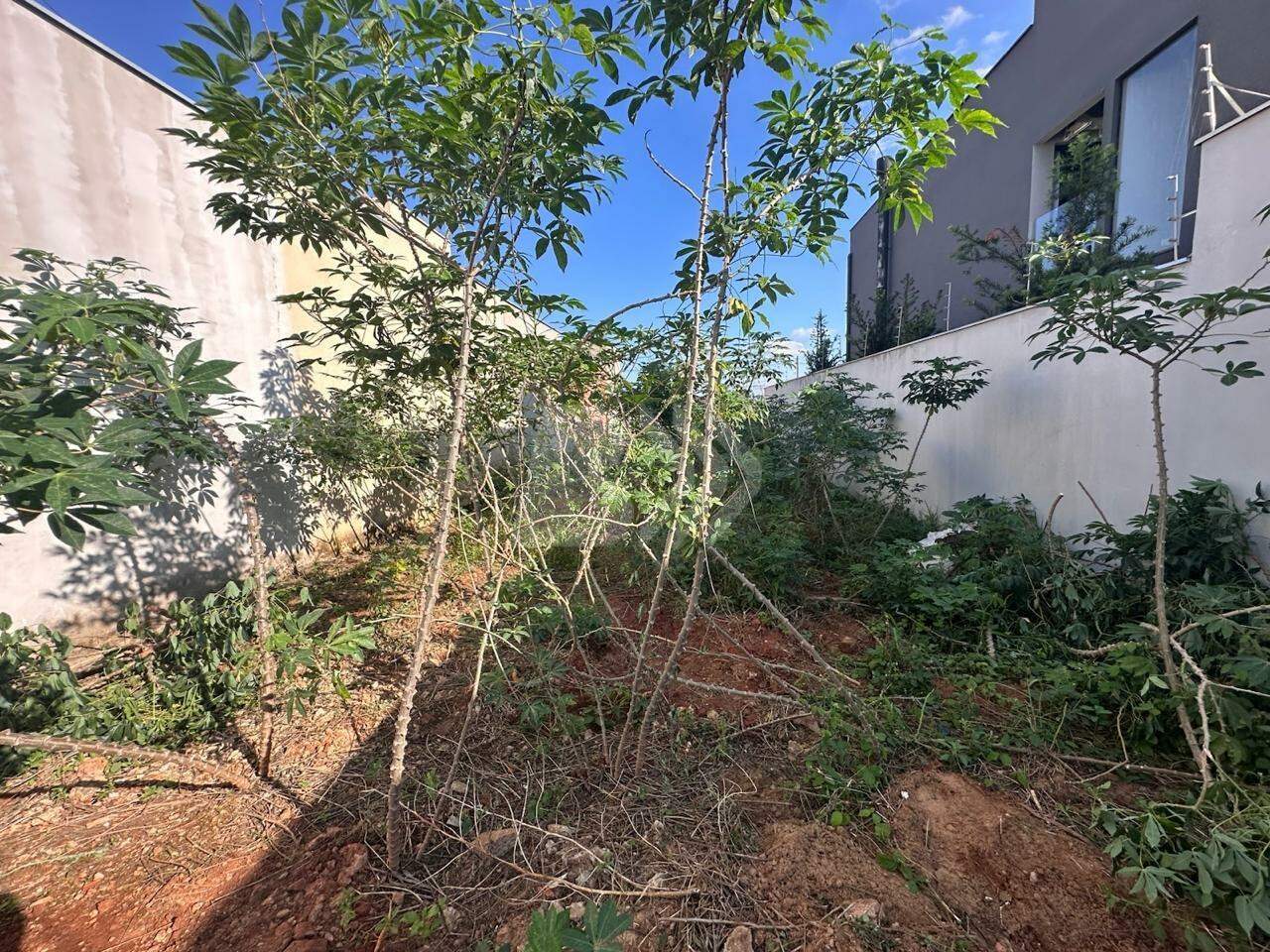 Terreno à venda no Pompéia: 