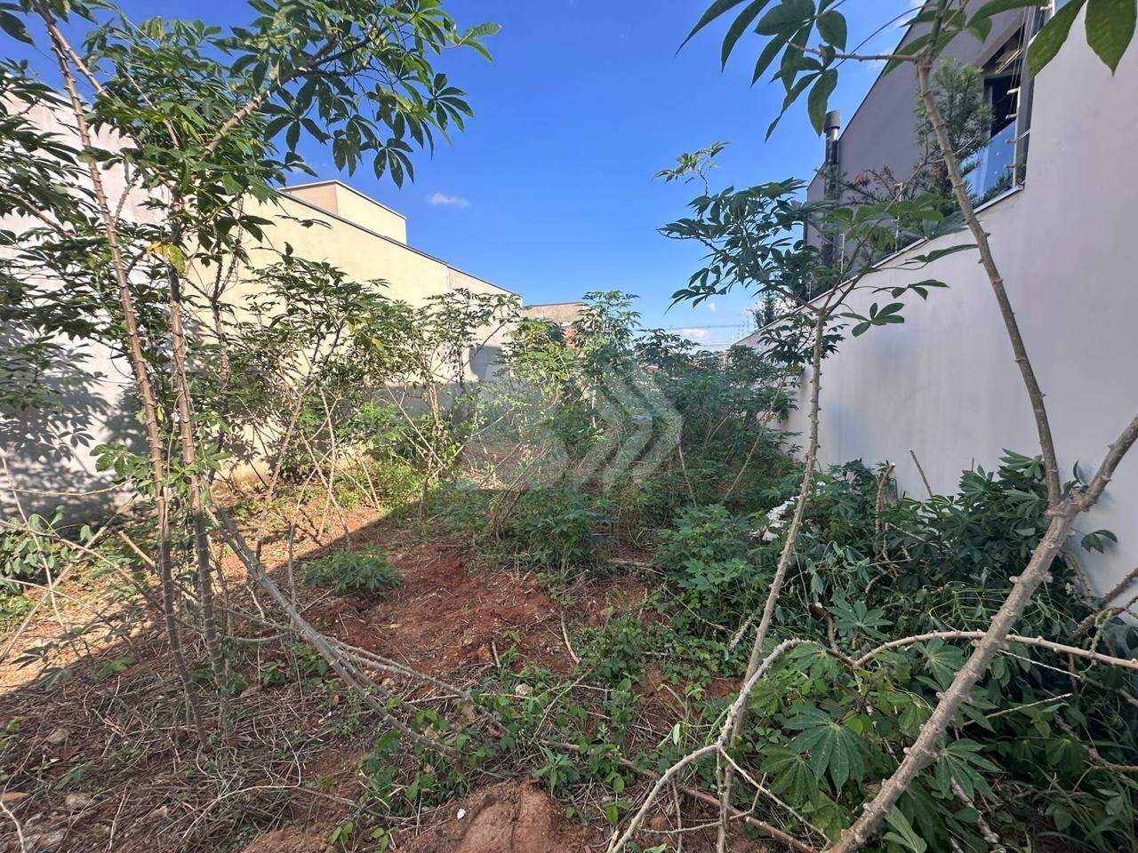 Terreno à venda no Pompéia: 