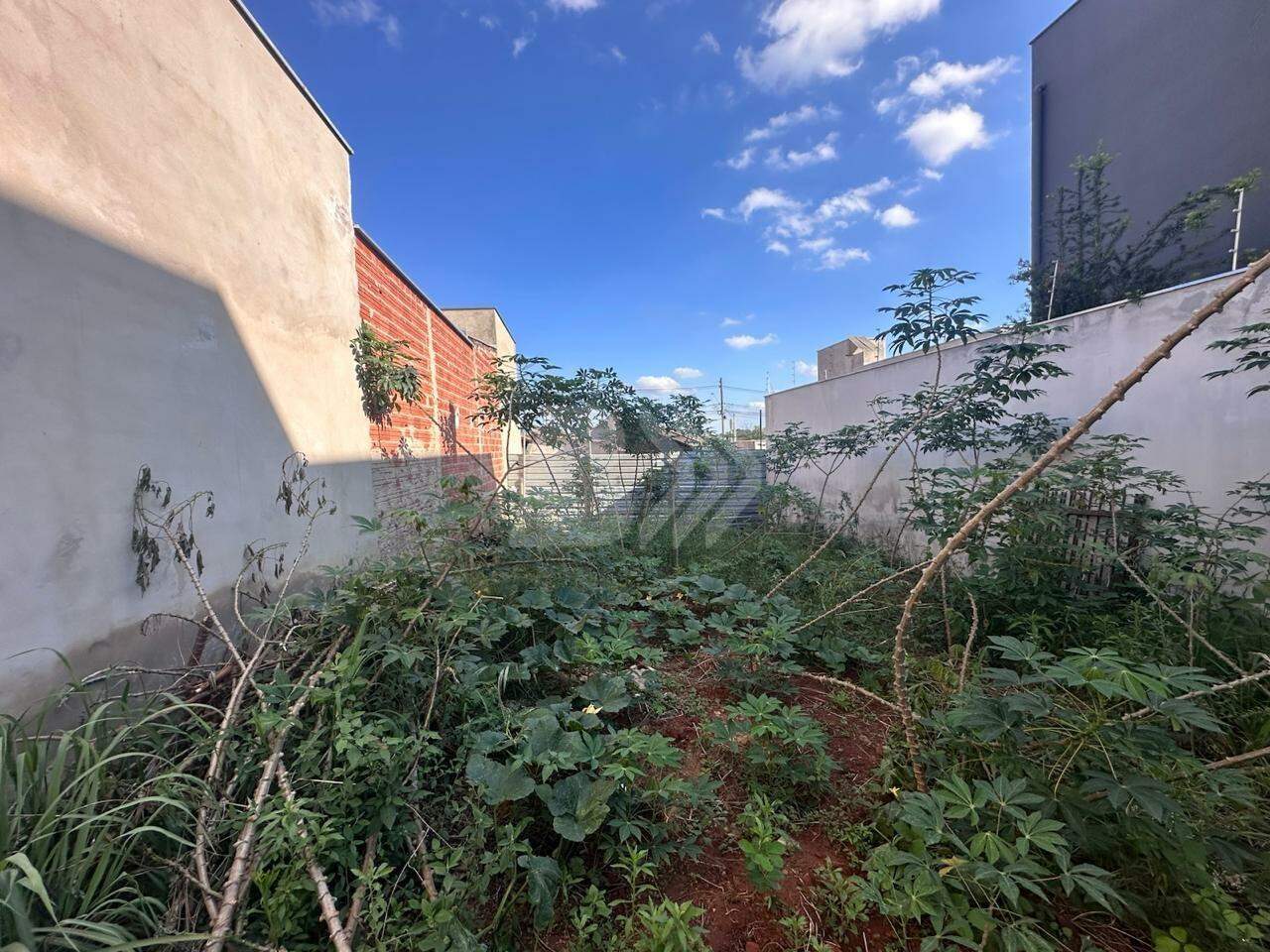Terreno à venda no Pompéia: 