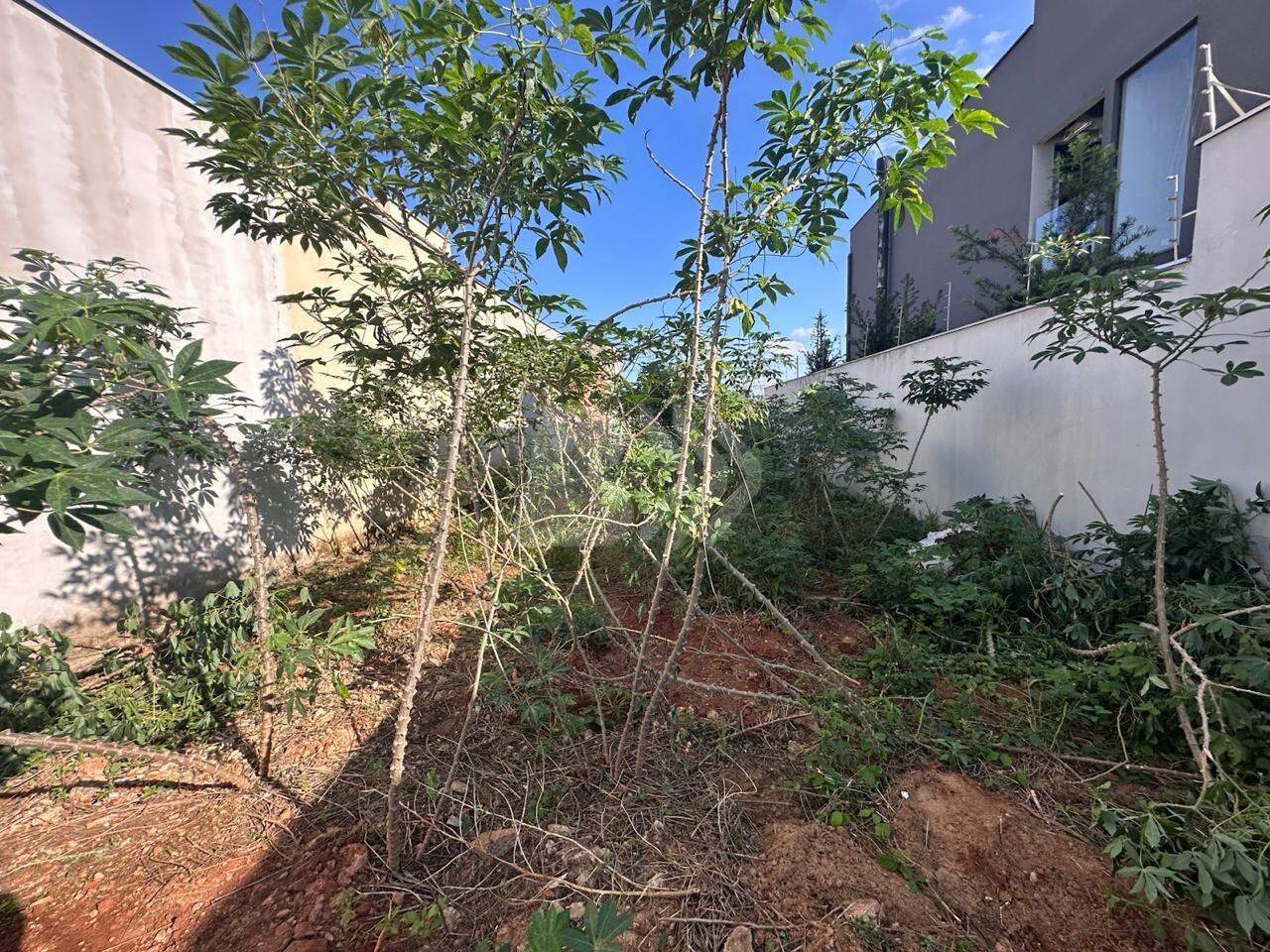 Terreno à venda no Pompéia: 