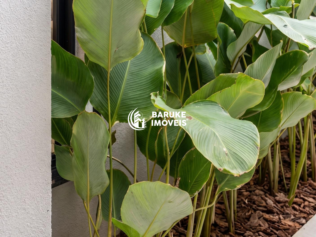 Casa de condomínio à venda no bairro JARDIM RESIDENCIAL DONA MARIA CANDIDAIndaiatuba: 