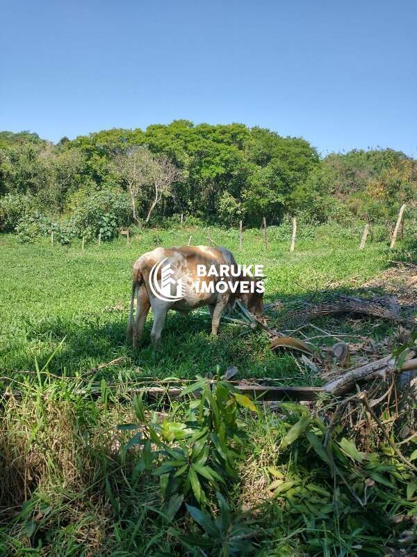 Terreno à venda no bairro RECANTO CAMPESTRE VIRACOPOS GLEBA 1Indaiatuba: 