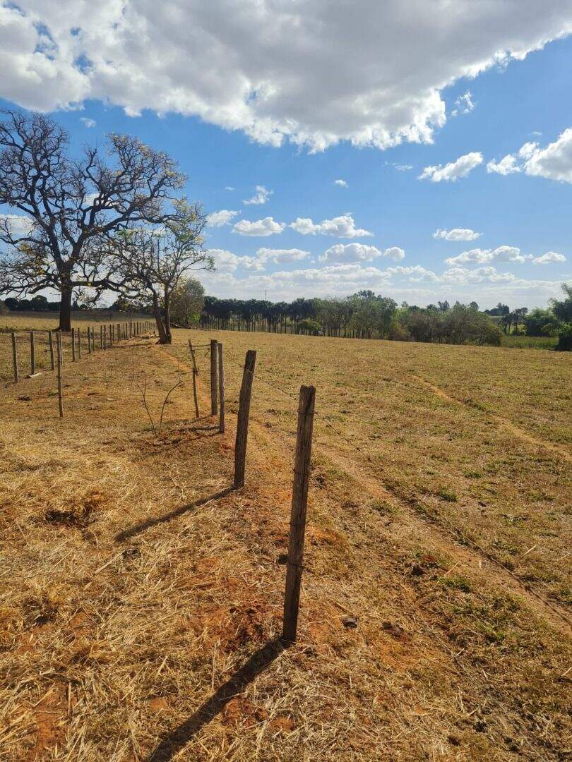 Área à venda no Zona Rural: 