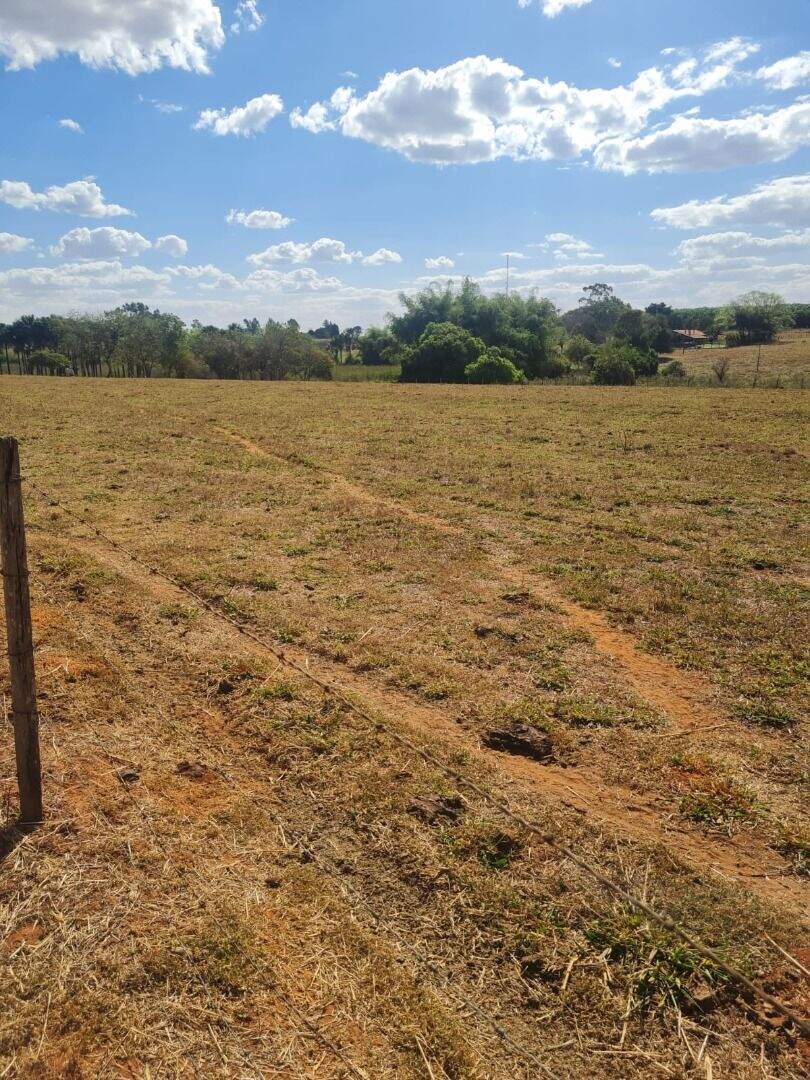 Área à venda no Zona Rural: 