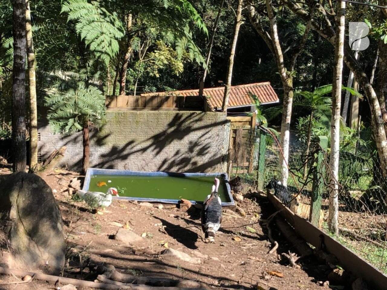 Sítio à venda no Santo Amaro da Imperatriz: 