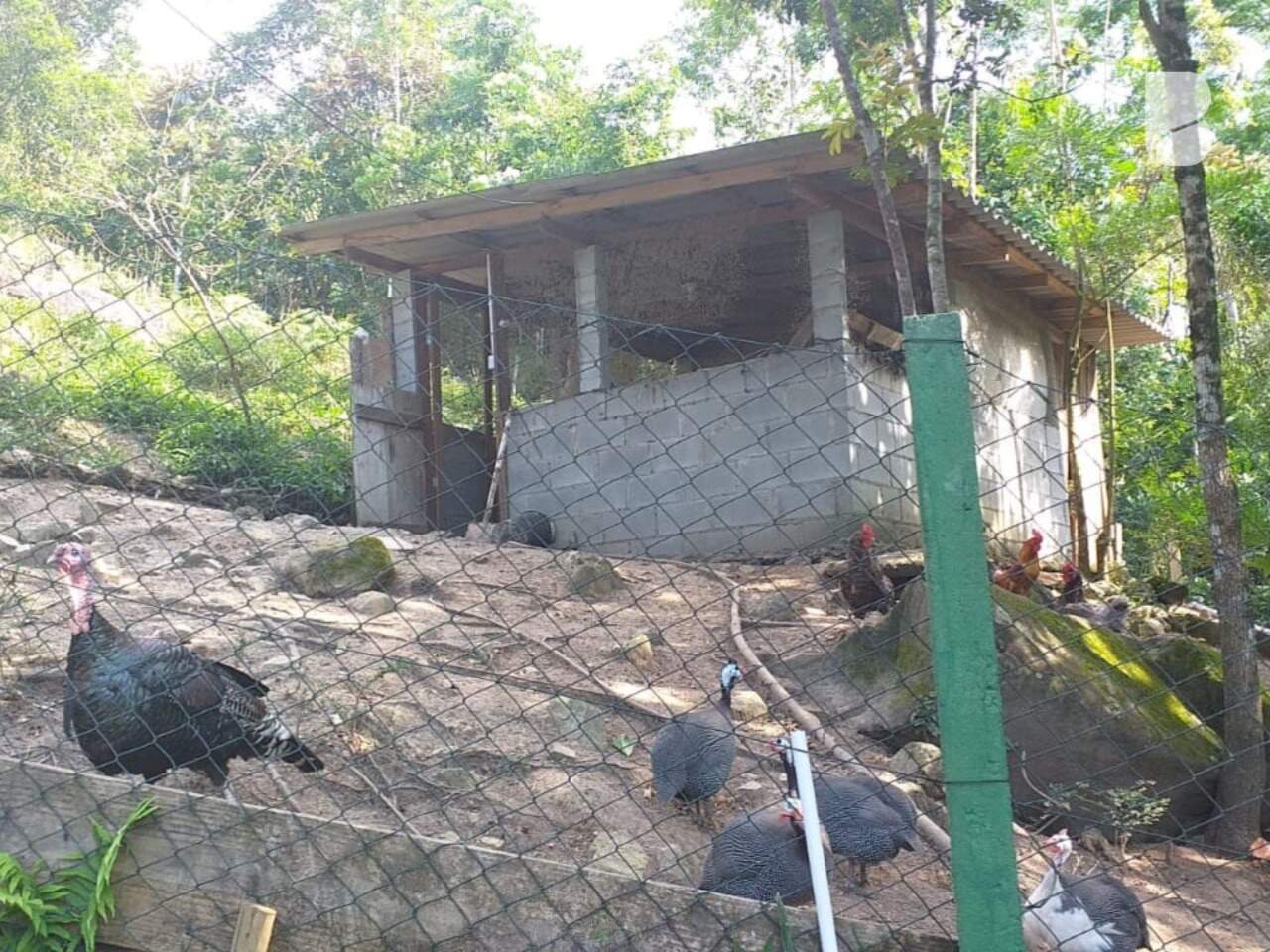 Sítio à venda no Santo Amaro da Imperatriz: 