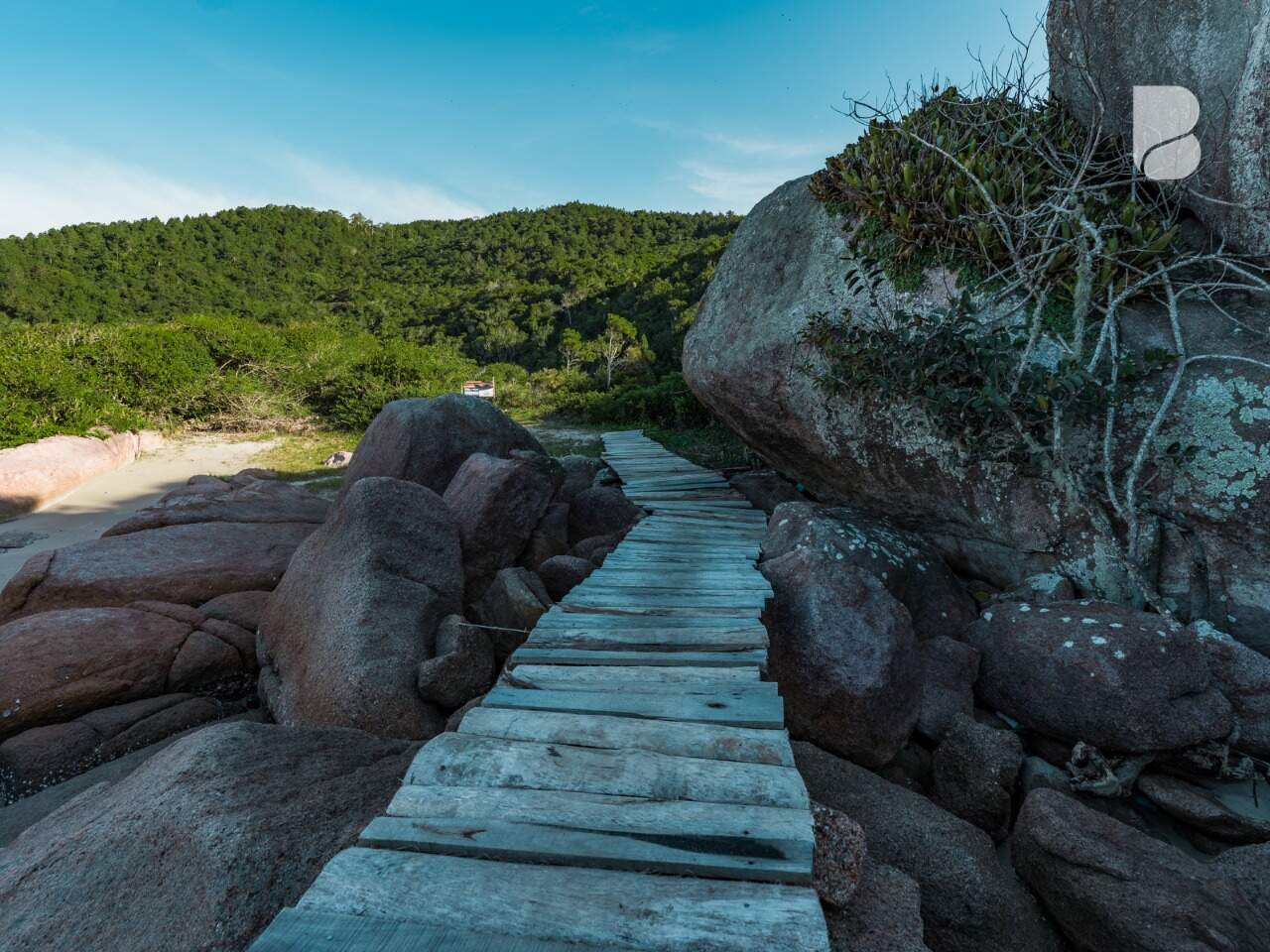 Apartamento à venda no Fazenda da Armação: 