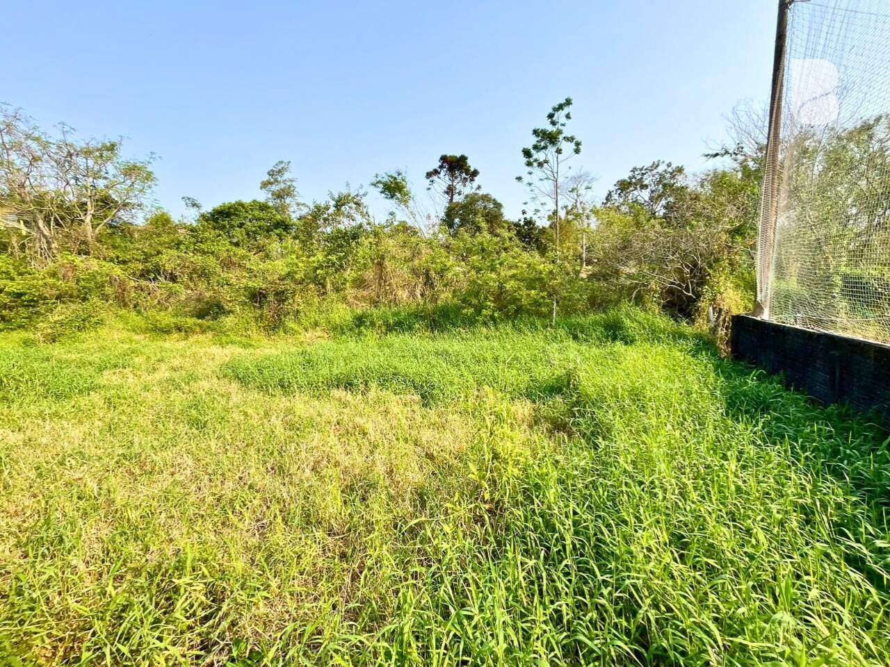Terreno à venda no Areias de Baixo: 