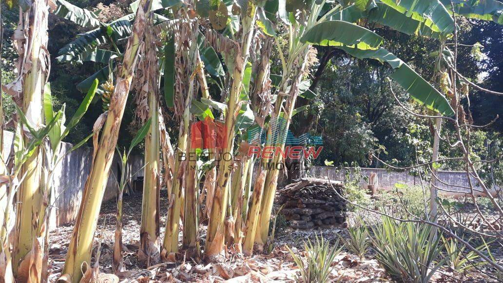 Chácara à venda Chácaras Bocaiúva Nova em Campinas: 