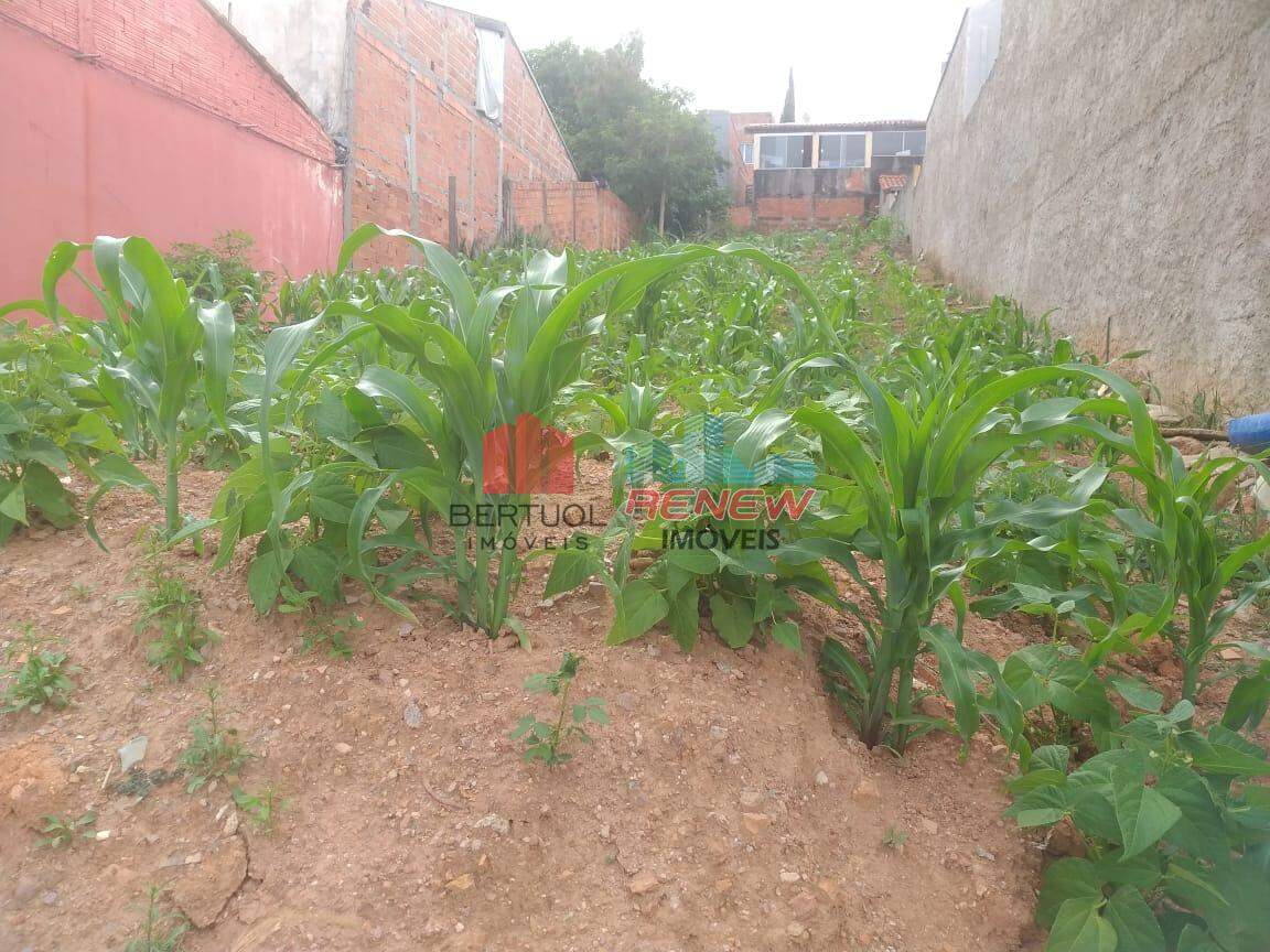 Terreno à venda Jardim Portugal em Valinhos: 