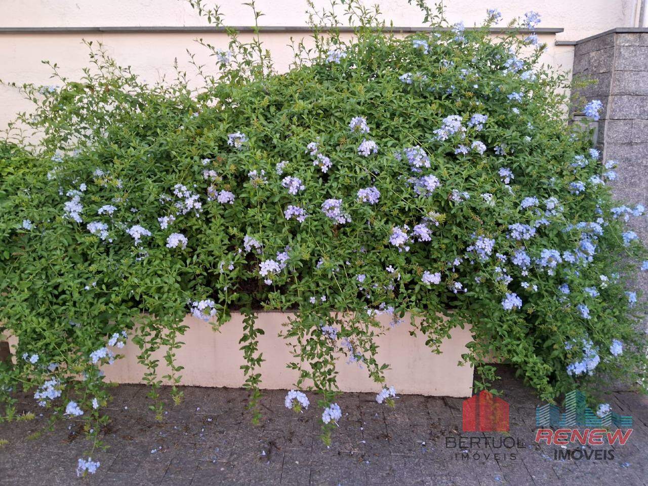 Casa Térrea à venda Centro em Vinhedo: 