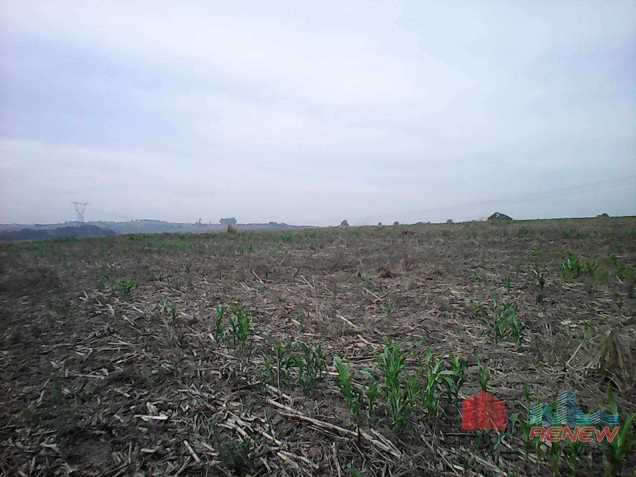 Área à venda Área Rural de Sumaré em Sumaré: 