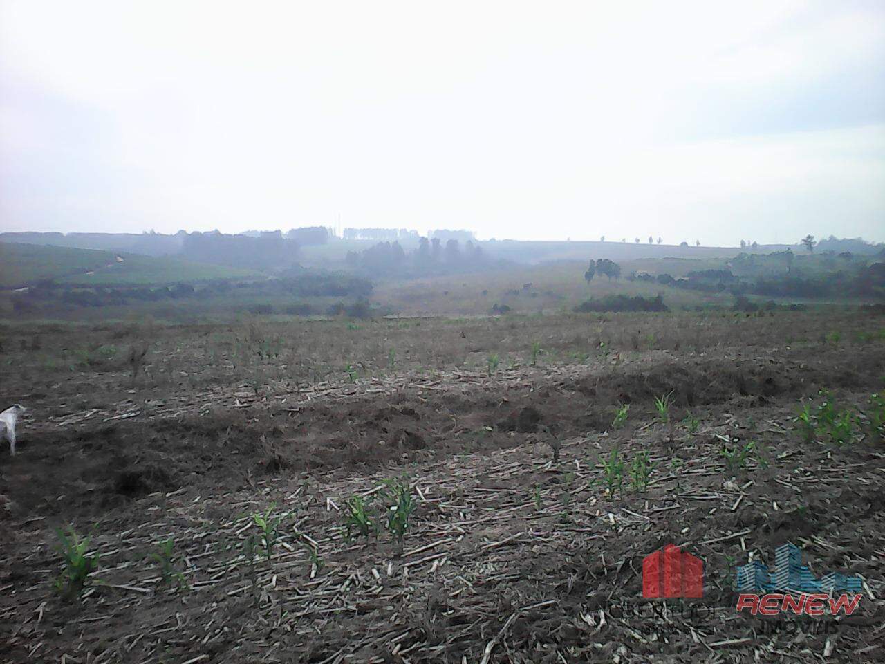 Área à venda Área Rural de Sumaré em Sumaré: 