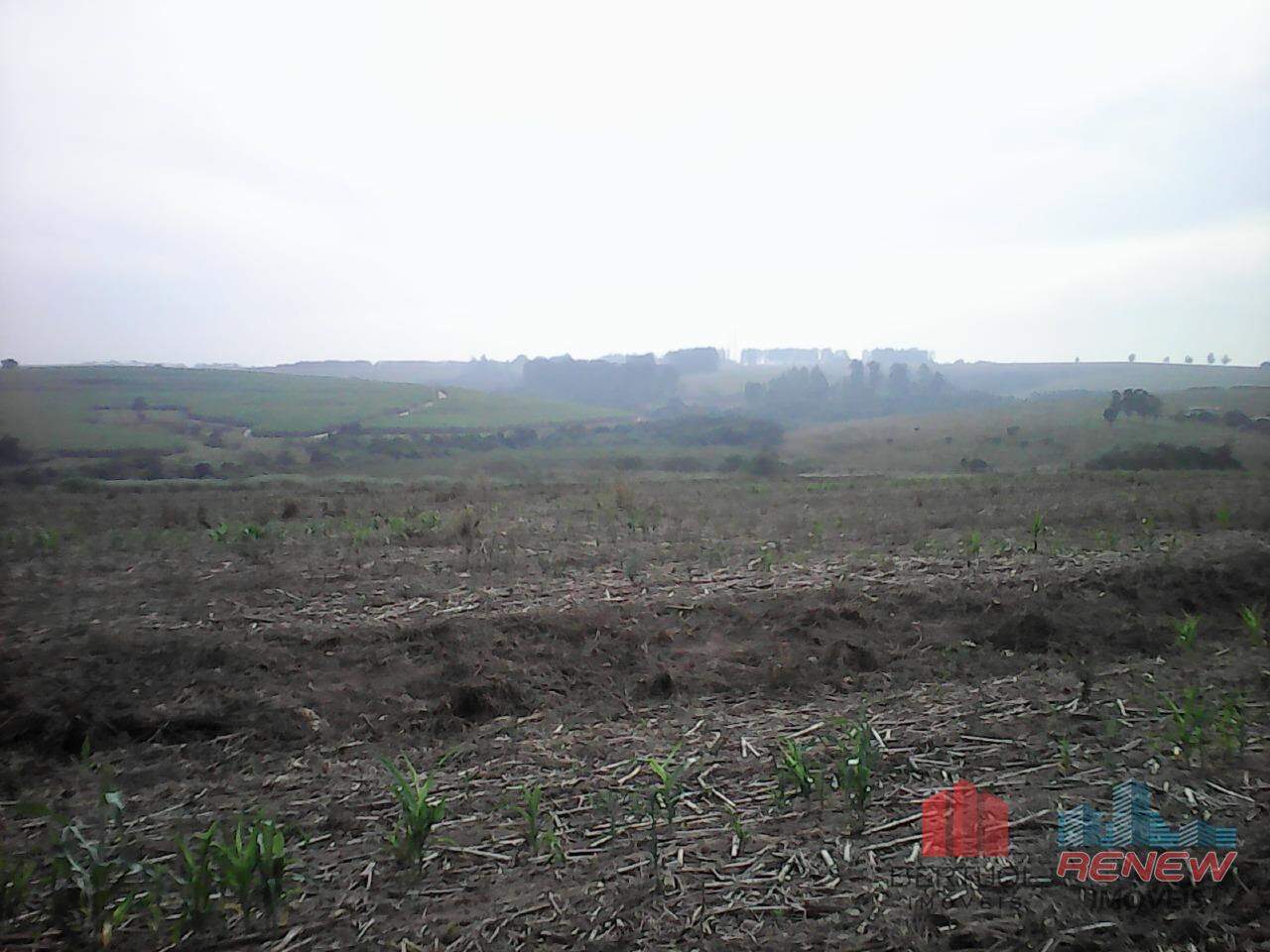 Área à venda Área Rural de Sumaré em Sumaré: 