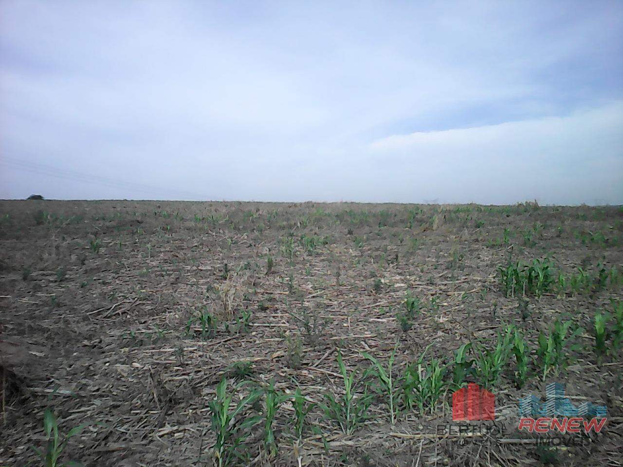 Área à venda Área Rural de Sumaré em Sumaré: 