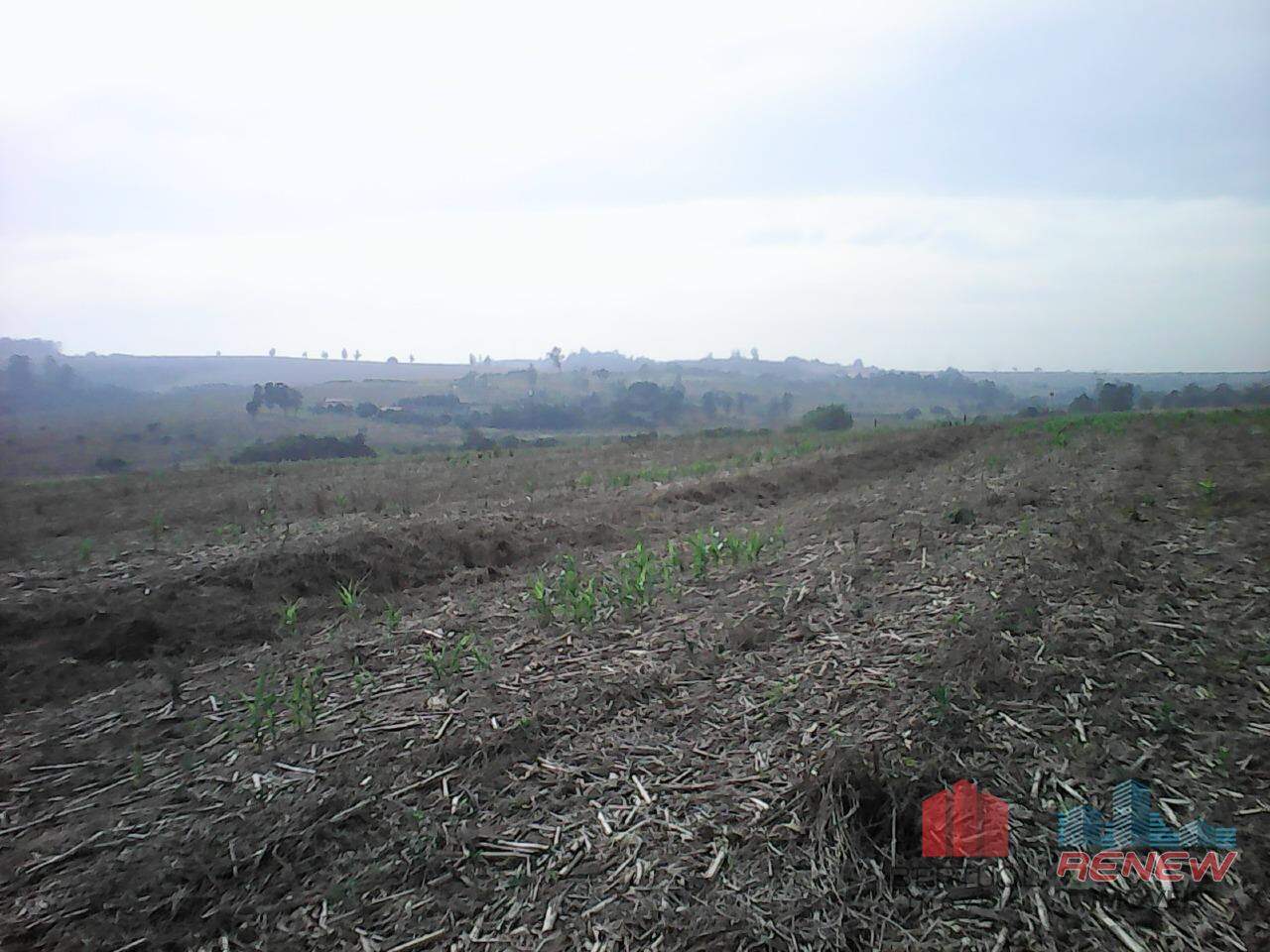 Área à venda Área Rural de Sumaré em Sumaré: 