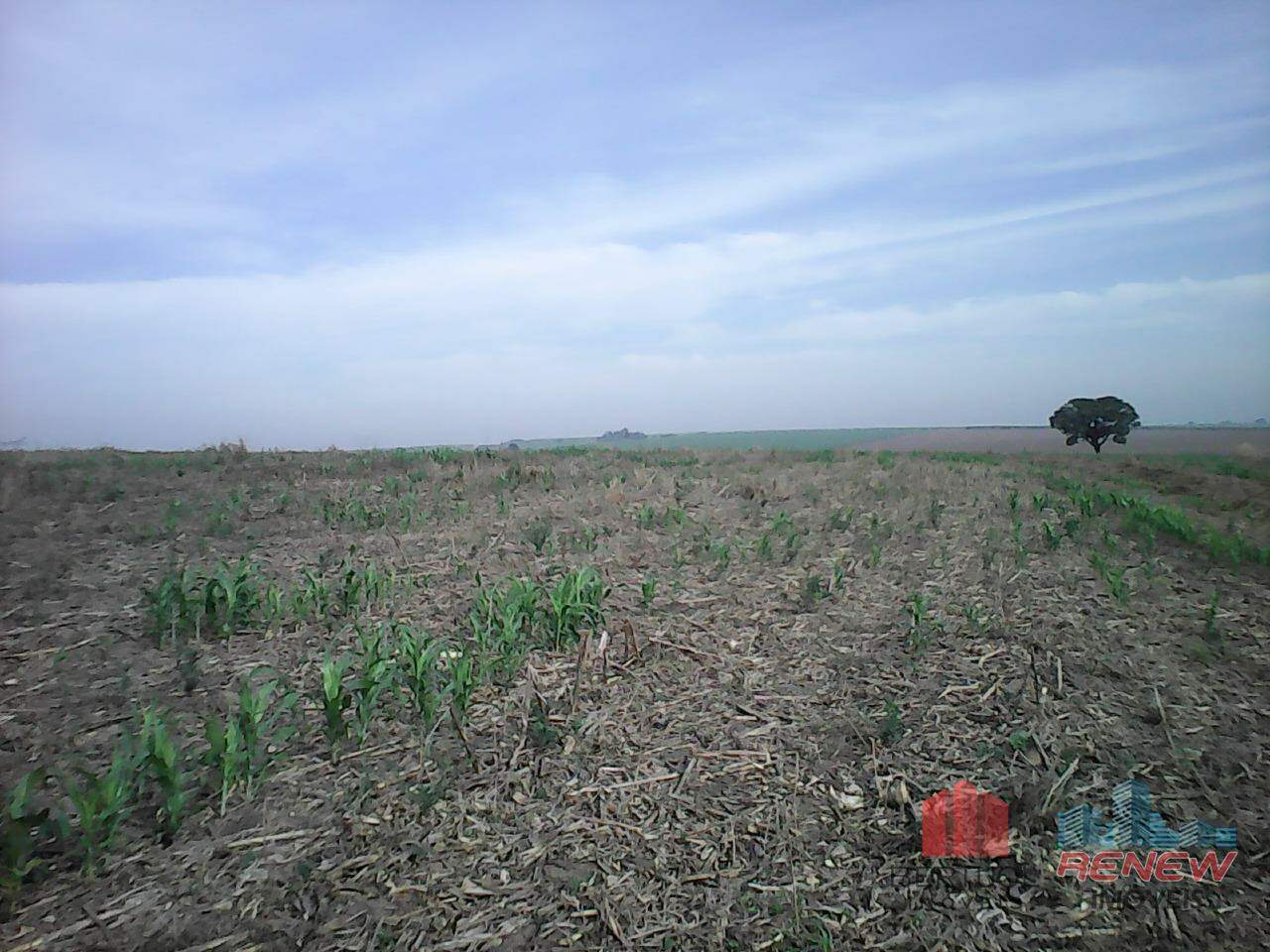 Área à venda Área Rural de Sumaré em Sumaré: 
