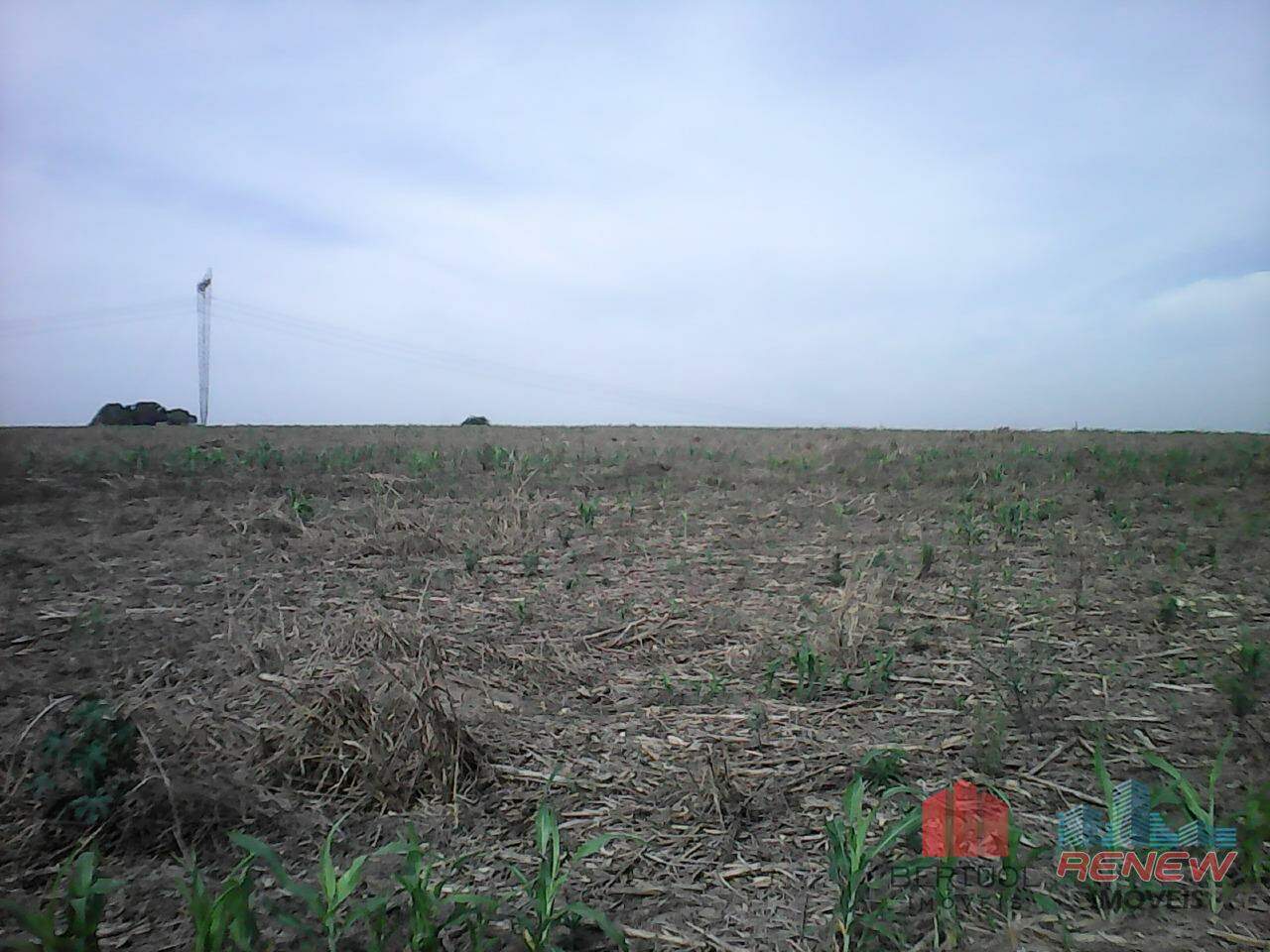 Área à venda Área Rural de Sumaré em Sumaré: 