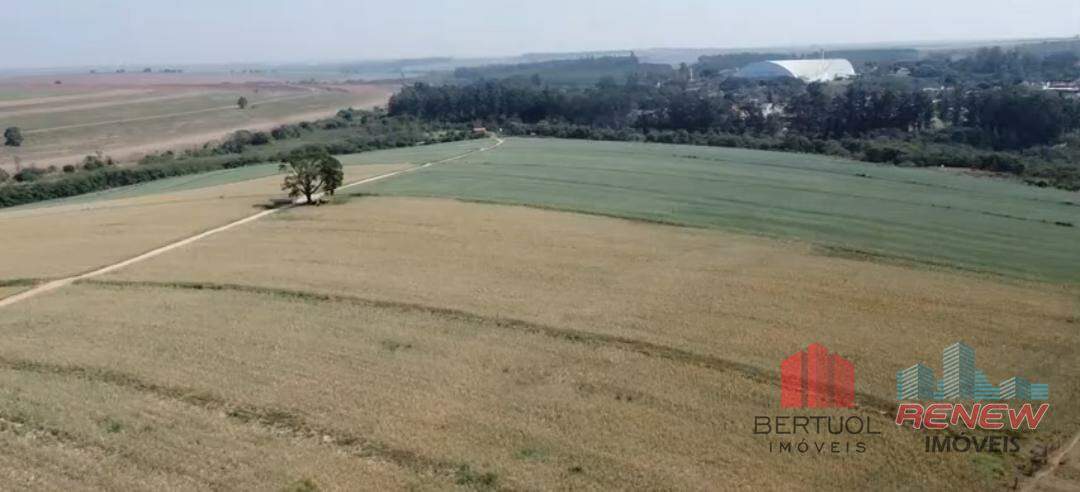 Área à venda Área Rural de Sumaré em Sumaré: 