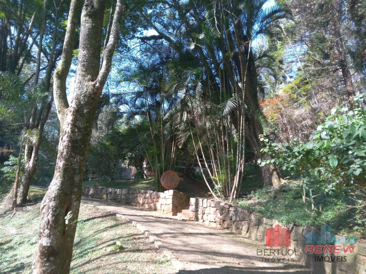 Sítio à venda Chácara São João em Campo Limpo Paulista: 