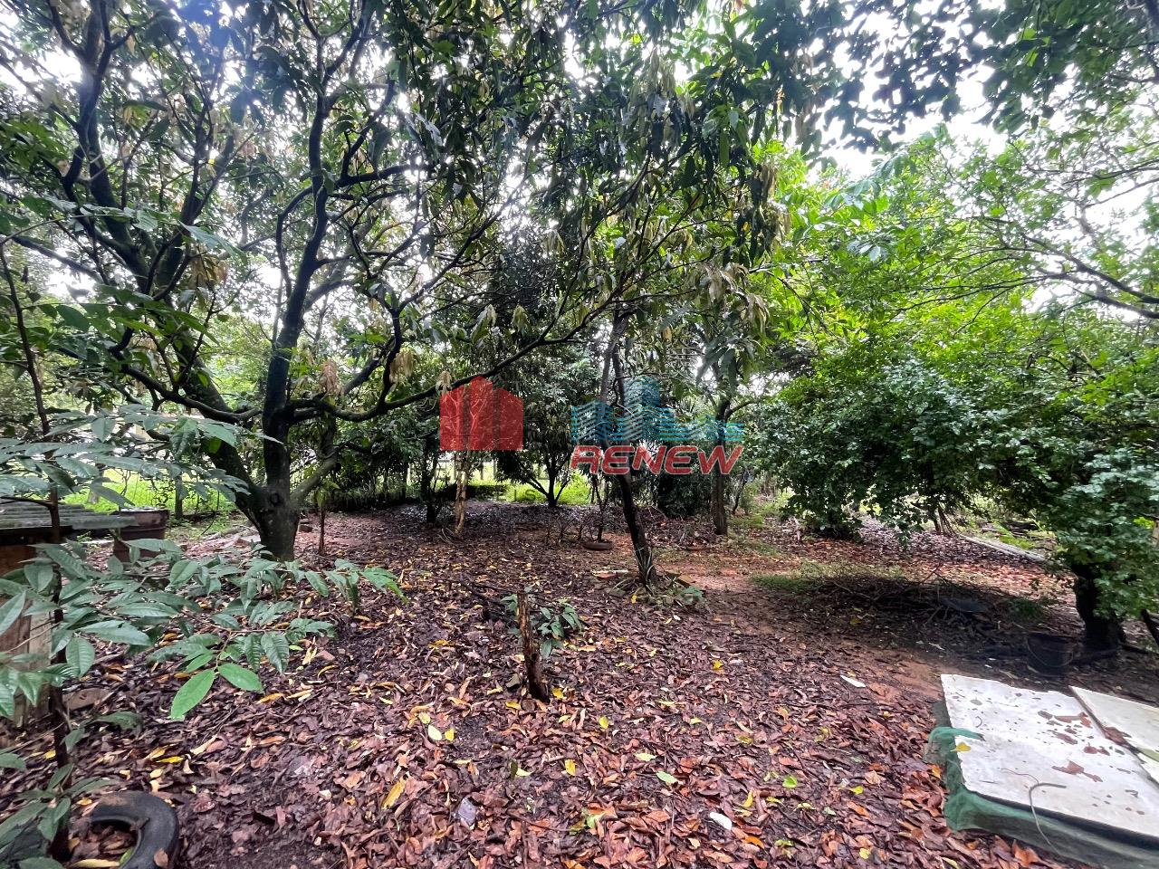 Chácara à venda Chácaras São Bento em Valinhos: 