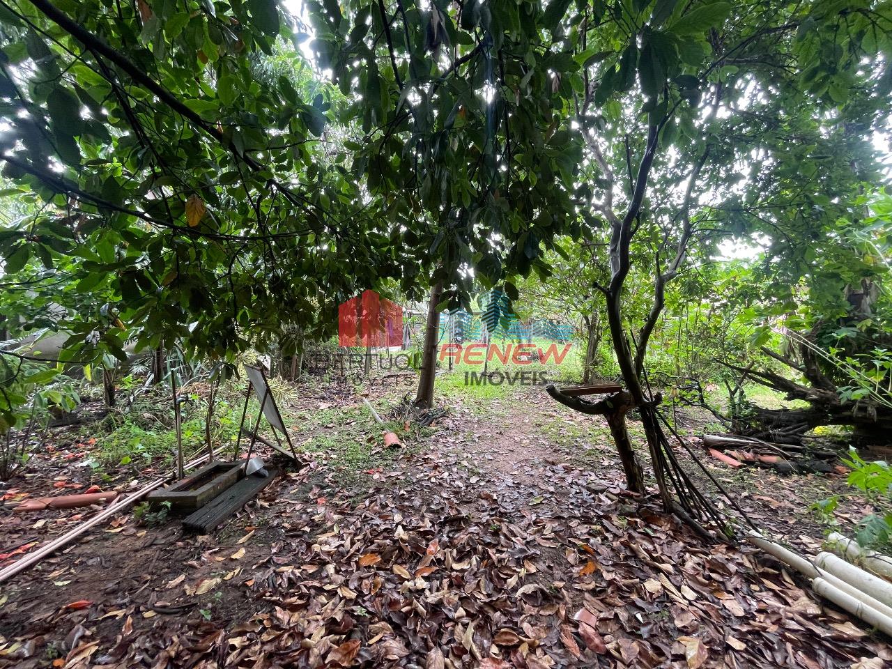 Chácara à venda Chácaras São Bento em Valinhos: 