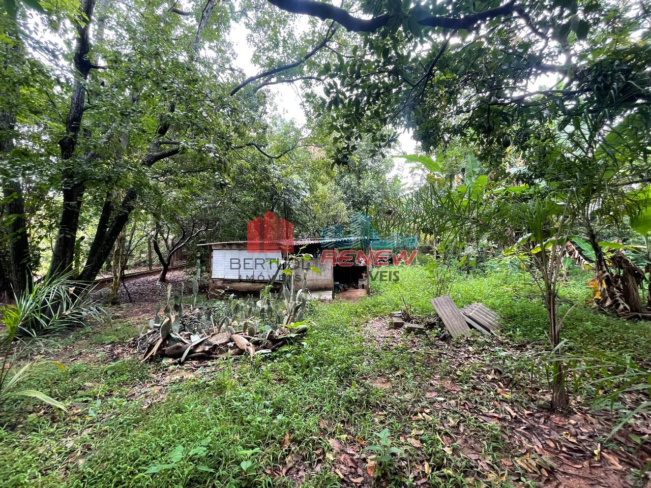 Chácara à venda Chácaras São Bento em Valinhos: 