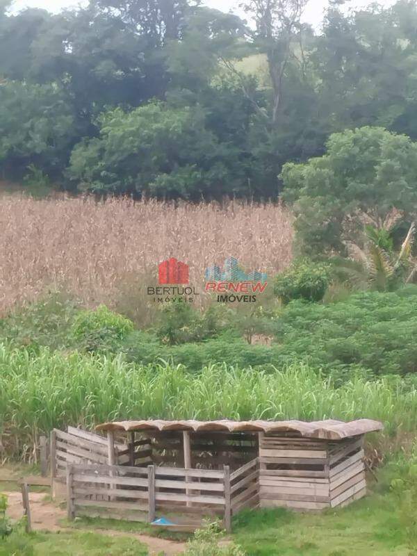 Chácara à venda Área Rural de Monte Alegre do Sul em Monte Alegre do Sul: 