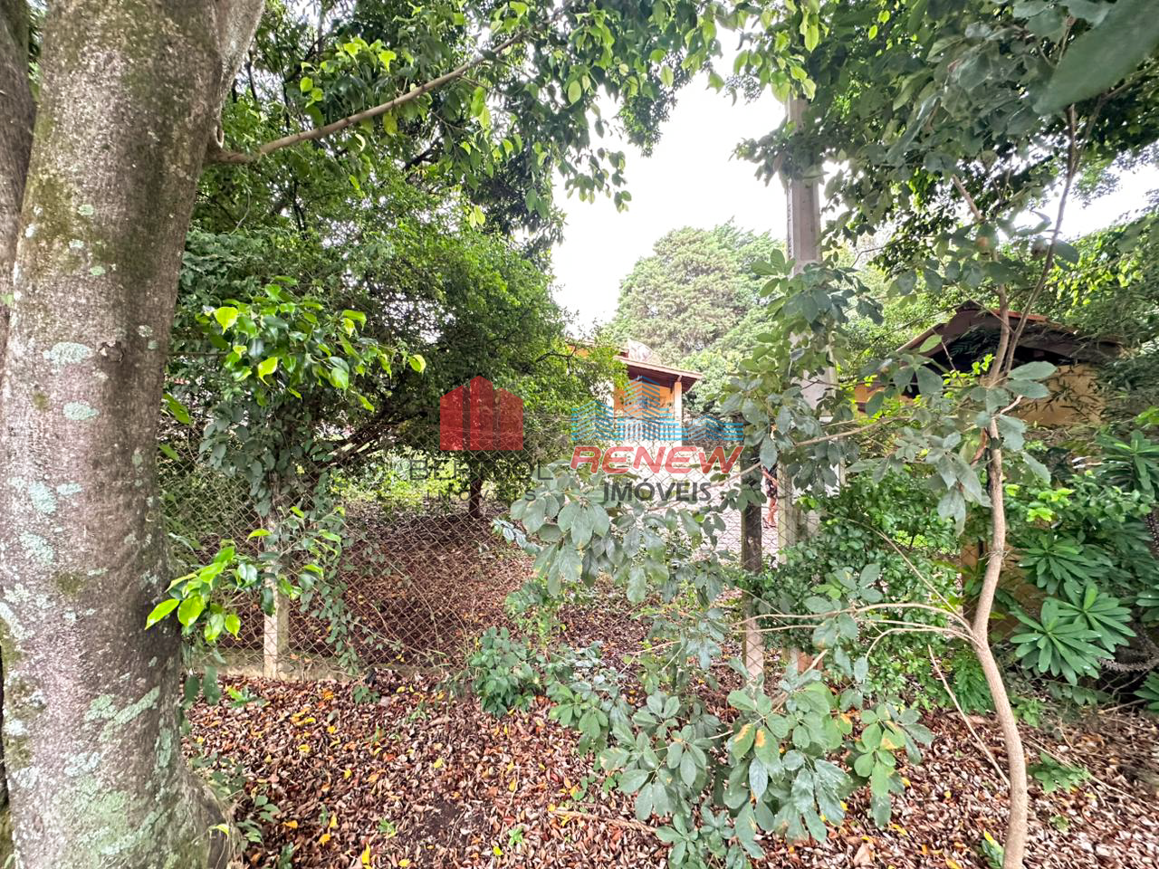 Chácara à venda Santa Claudina em Vinhedo: 